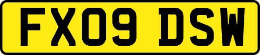 FX09DSW