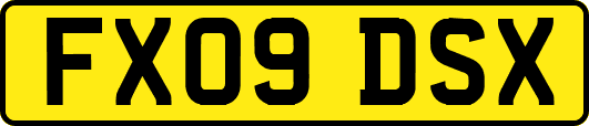 FX09DSX