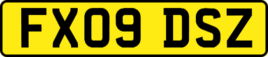 FX09DSZ