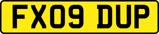 FX09DUP