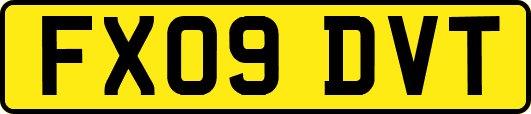 FX09DVT