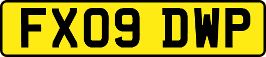 FX09DWP