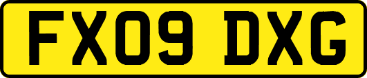 FX09DXG
