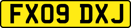 FX09DXJ