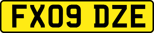 FX09DZE