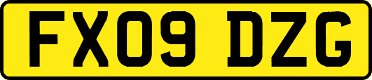 FX09DZG