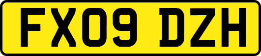 FX09DZH
