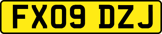 FX09DZJ