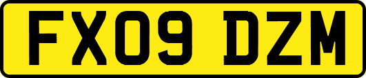 FX09DZM