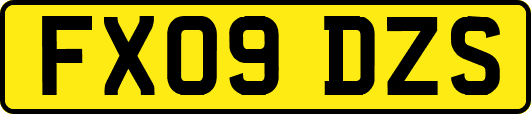 FX09DZS