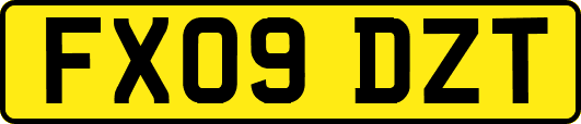 FX09DZT