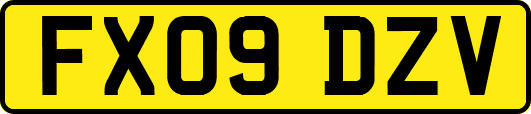 FX09DZV