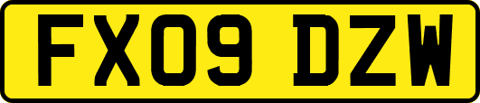 FX09DZW