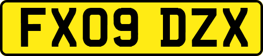 FX09DZX