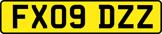 FX09DZZ