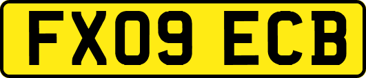 FX09ECB