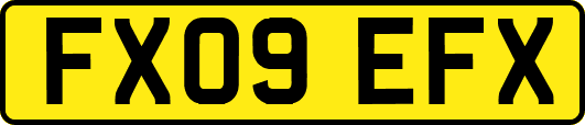FX09EFX
