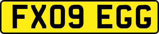 FX09EGG