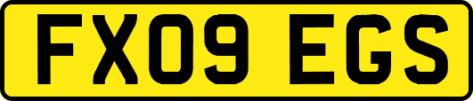 FX09EGS