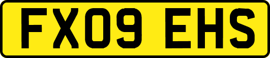 FX09EHS