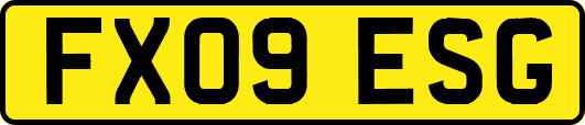 FX09ESG