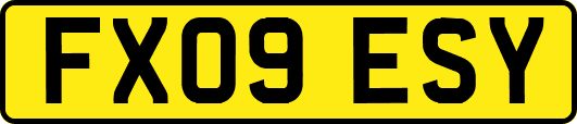 FX09ESY