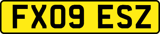 FX09ESZ