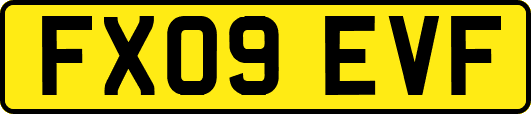 FX09EVF