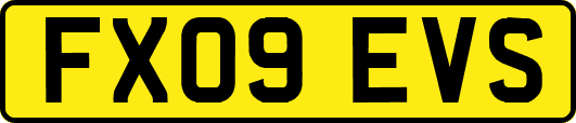 FX09EVS