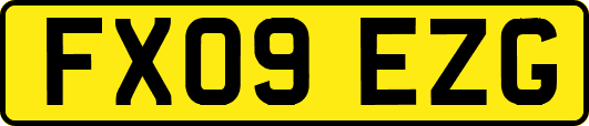 FX09EZG