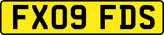 FX09FDS