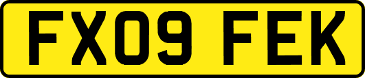 FX09FEK