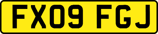 FX09FGJ