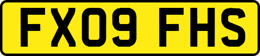 FX09FHS