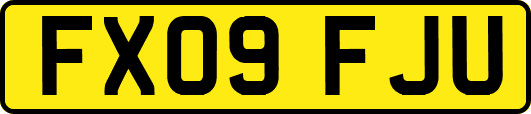 FX09FJU