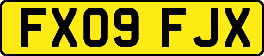 FX09FJX