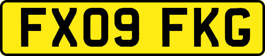 FX09FKG