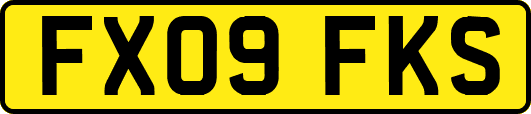 FX09FKS