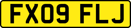 FX09FLJ