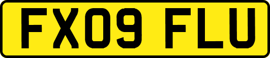 FX09FLU
