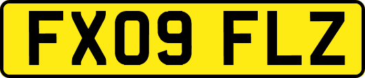 FX09FLZ