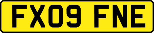 FX09FNE