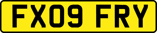 FX09FRY