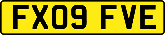 FX09FVE