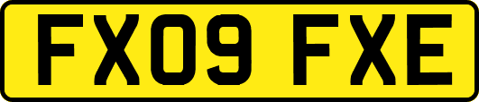 FX09FXE