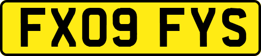 FX09FYS