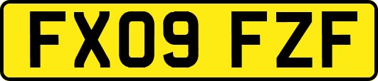 FX09FZF