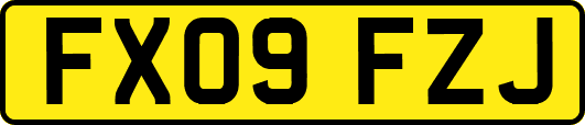 FX09FZJ
