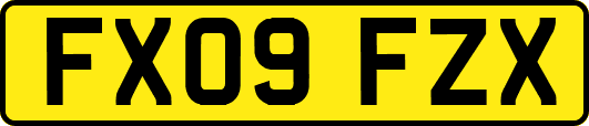FX09FZX