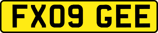 FX09GEE